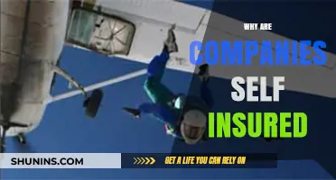 Why Companies Choose Self-Insurance: Benefits, Risks, and Strategies