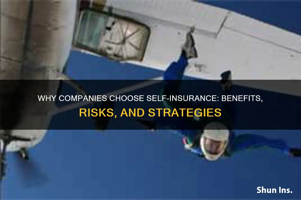 why are companies self insured