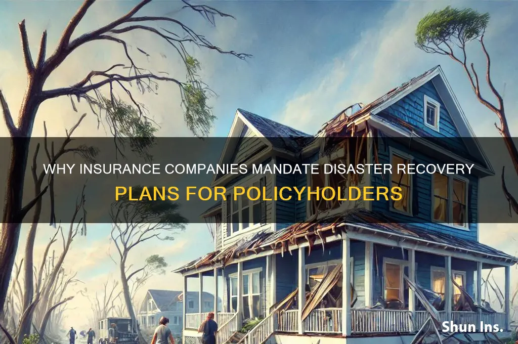 why are disaster recovery plan required by insurance companies