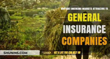 Emerging Markets: Unlocking Growth Opportunities for General Insurance Companies