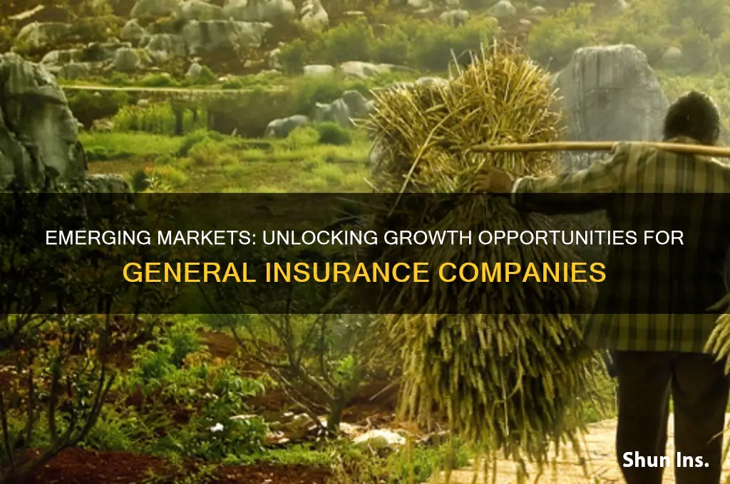 why are emerging markets attractive to general insurance companies