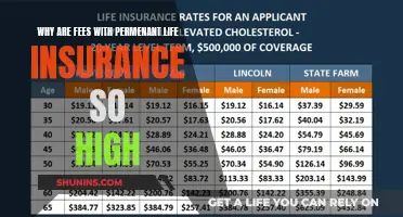 Unraveling the Mystery: Why Permanent Life Insurance Fees Soar