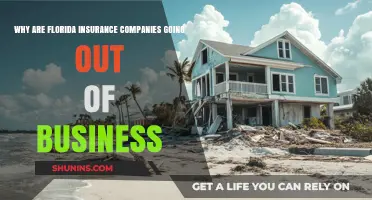 Florida Insurance Crisis: Why Carriers Are Failing and What’s Next