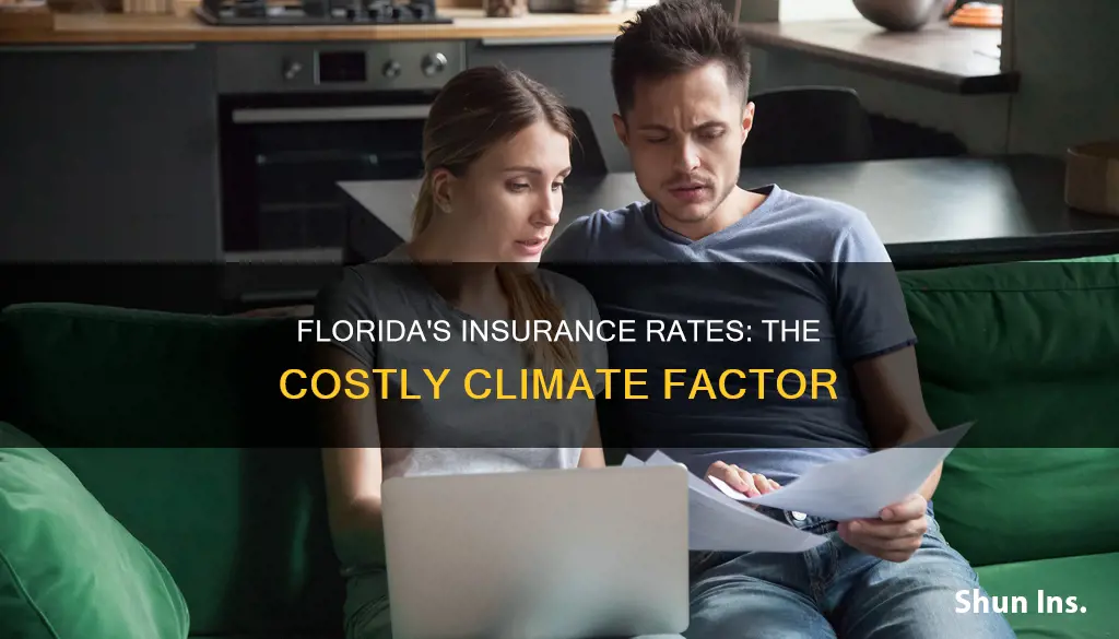 why are florida insurance rates so high