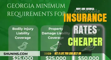 Georgia Insurance Rates: Why Are They Cheaper?
