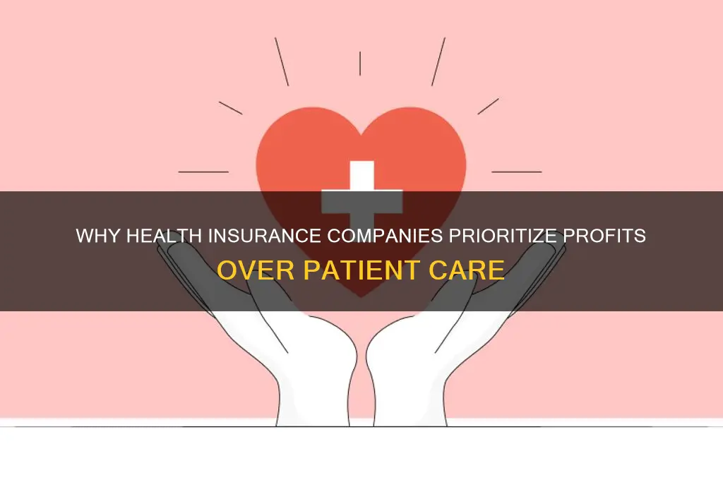 why are health insurance companies for profit