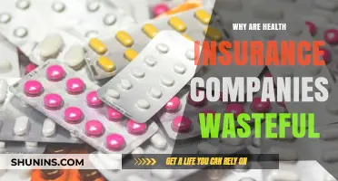 Health Insurance Waste: Uncovering Inefficiencies in the Healthcare System