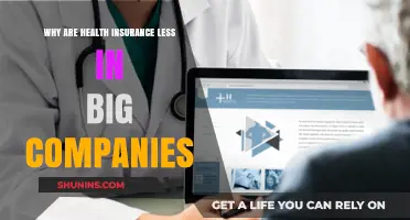 Why Big Companies Offer Lower Health Insurance Premiums: Key Factors
