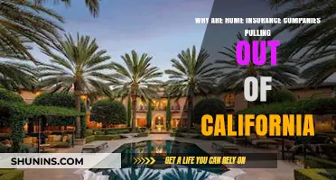 California's Home Insurance Crisis: Why Companies Are Exiting the State
