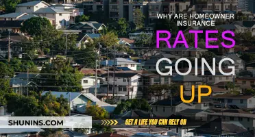 Homeowner Insurance Rates: Rising Costs and Why