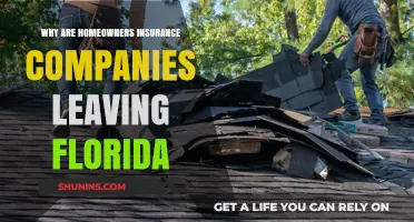 Florida's Insurance Exodus: Why Homeowners Are Losing Coverage Options