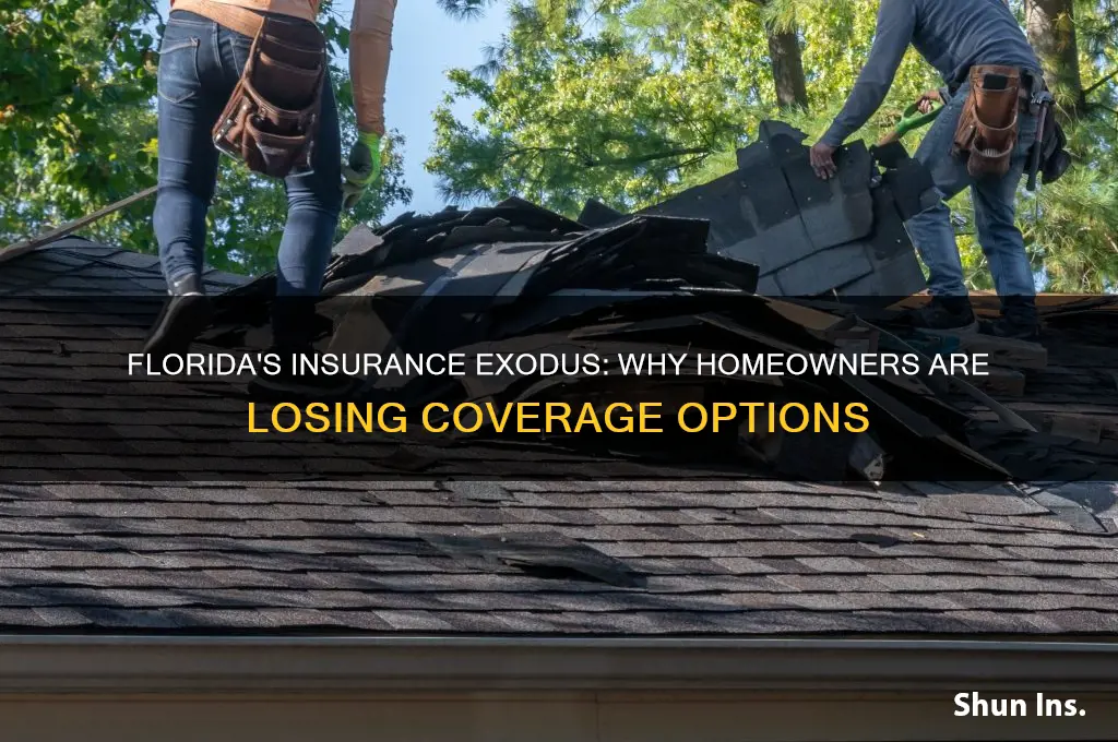 why are homeowners insurance companies leaving florida