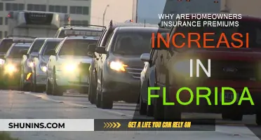 Florida's Home Insurance Crisis: What's Driving Premium Hikes?