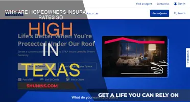 Texas Home Insurance: Why the High Rates?