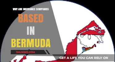 Why Bermuda Attracts Global Insurance Giants: Uncovering the Island's Appeal