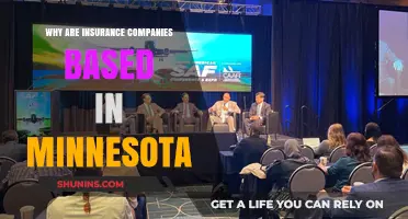 Minnesota's Insurance Hub: Uncovering the State's Industry Appeal