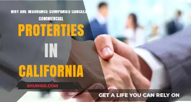 California's Commercial Property Insurance Crisis: Why Policies Are Being Canceled