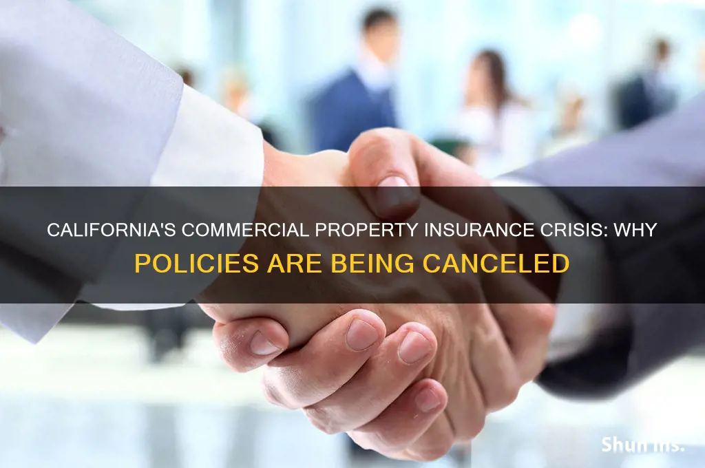 why are insurance companies canceling commercial proterties in california