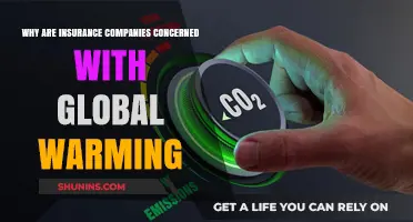 Global Warming's Impact: Why Insurance Companies Are Increasingly Alarmed
