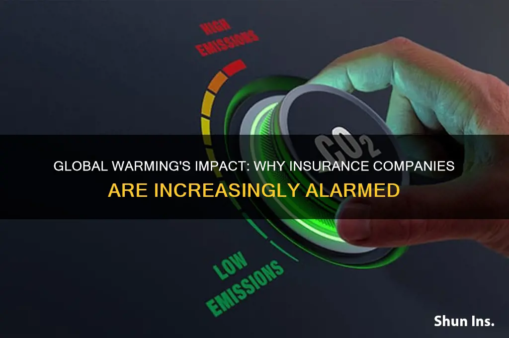 why are insurance companies concerned with global warming