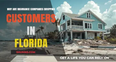 Florida Insurance Crisis: Why Companies Are Dropping Customers