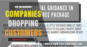 Insurance Companies Dropping Customers: Understanding the Growing Trend and Impact