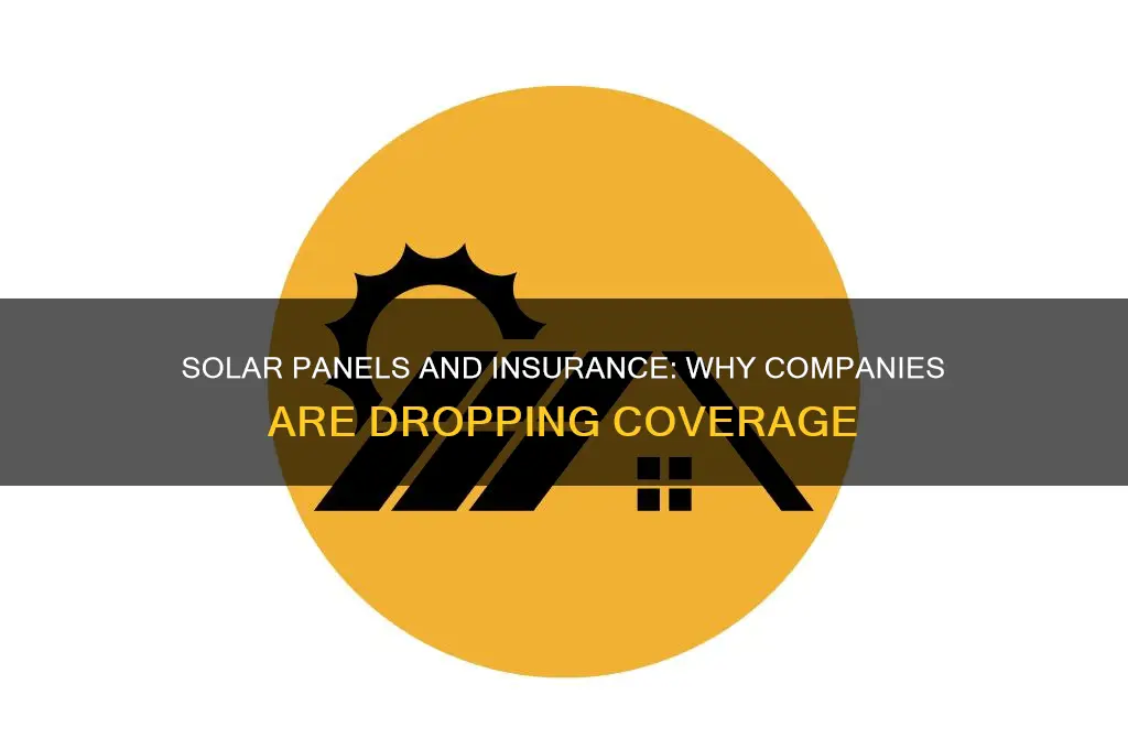 why are insurance companies dropping homes with solar panels