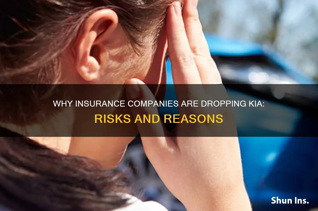 why are insurance companies dropping kia