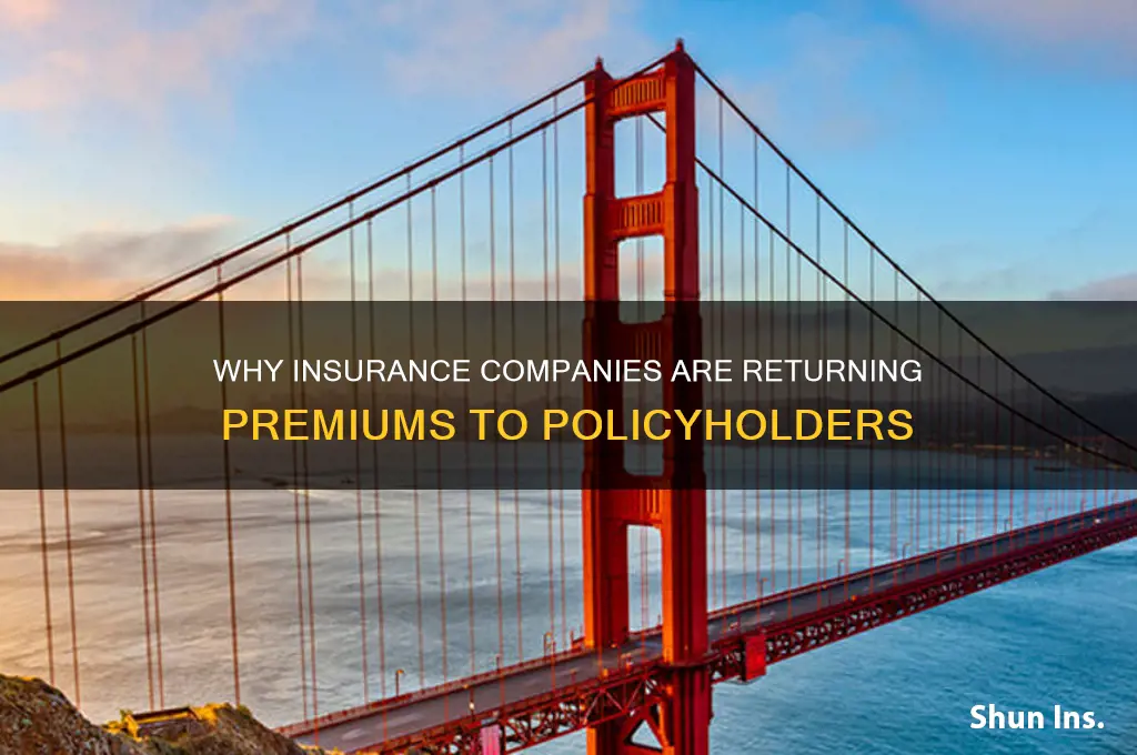 why are insurance companies giving money back