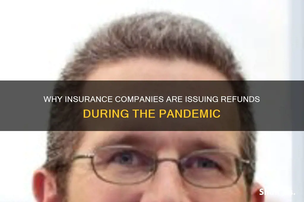 why are insurance companies giving refunds