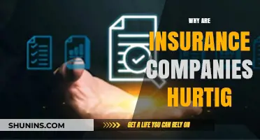 Why Insurance Companies Are Surprisingly Quick: Unveiling the Secrets Behind Their Speed