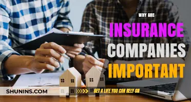 The Vital Role of Insurance Companies in Financial Security