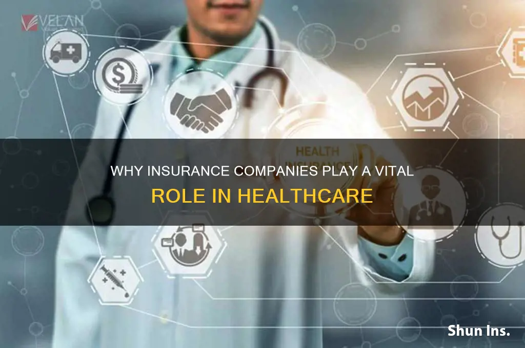 why are insurance companies in healthcare