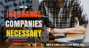 Why Insurance Companies Are Essential for Financial Security and Peace of Mind