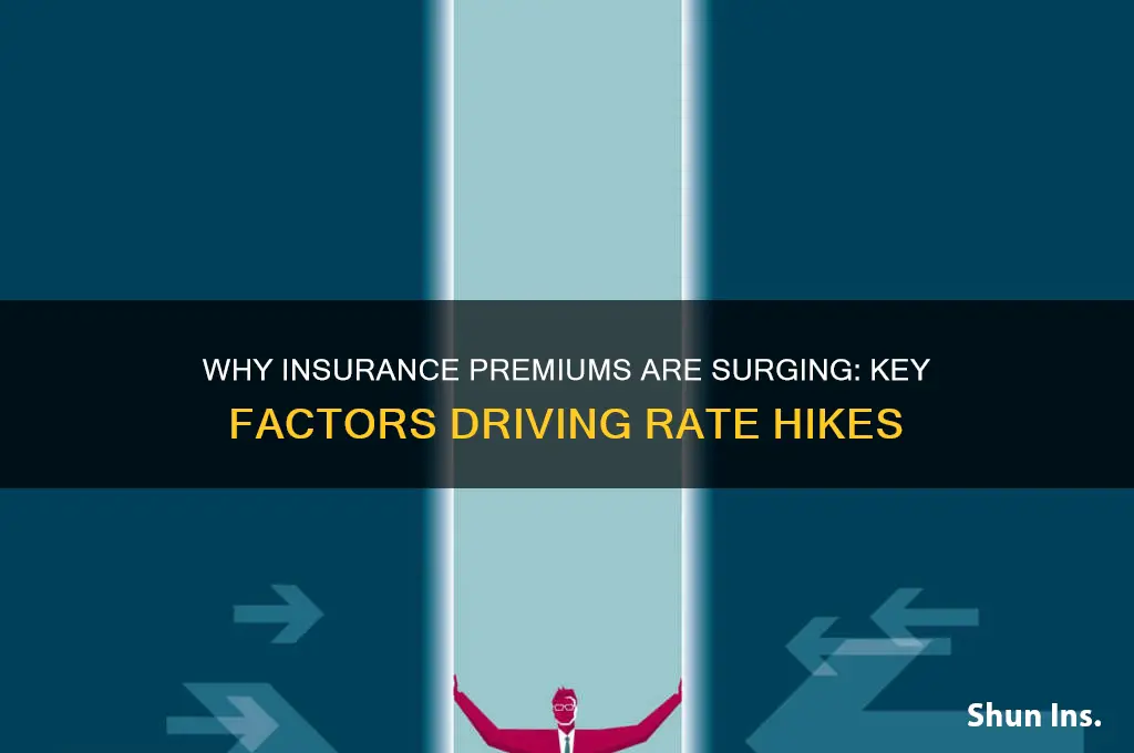 why are insurance companies raising rates