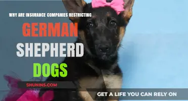 Why Insurance Companies Are Restricting German Shepherds: Explained