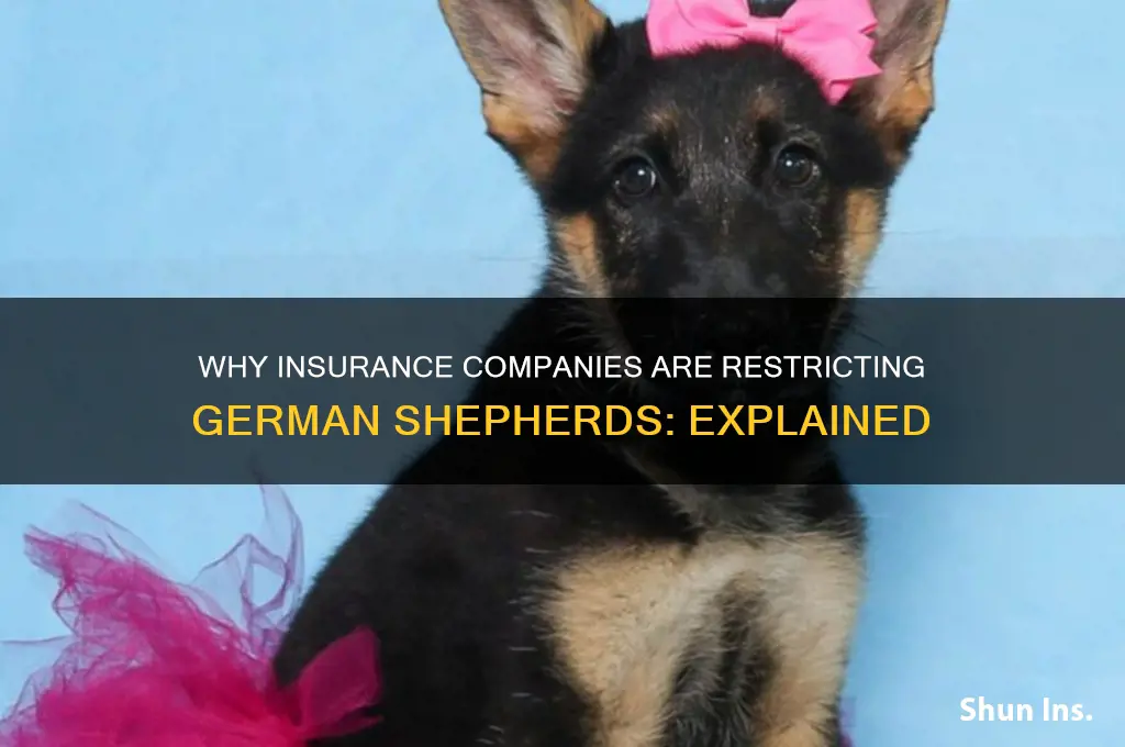 why are insurance companies restricting german shepherd dogs