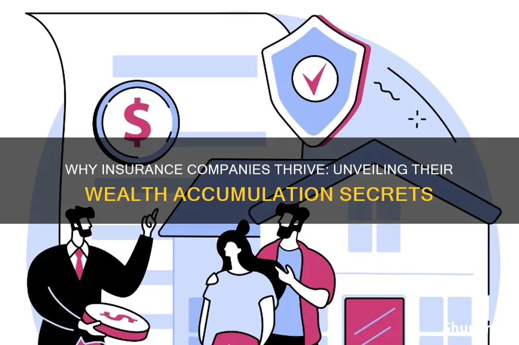 why are insurance companies so rich