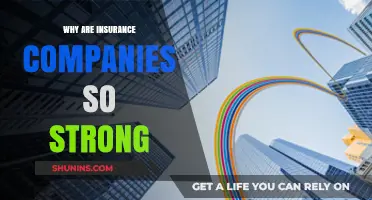 The Power of Insurance Companies: Unraveling Their Financial Strength