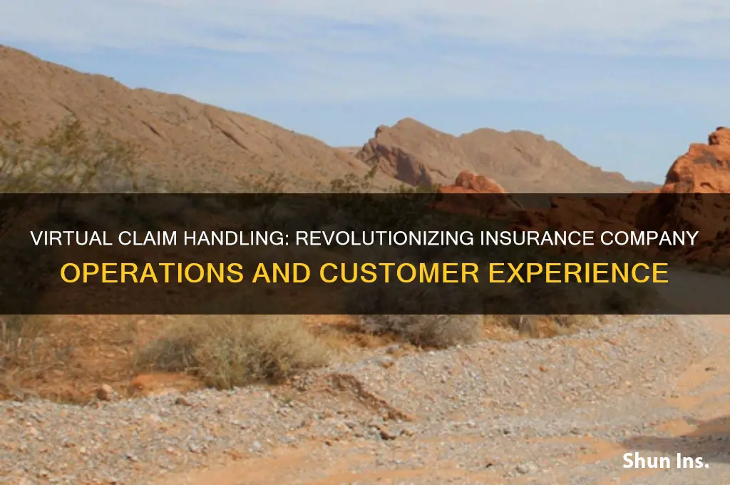 why are insurance company handling virtual claim handling
