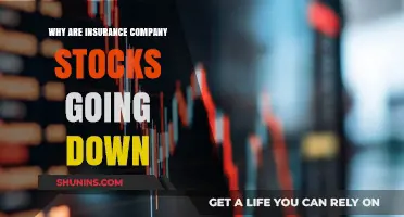 Insurance Stocks Plunge: Unraveling the Decline in Market Value