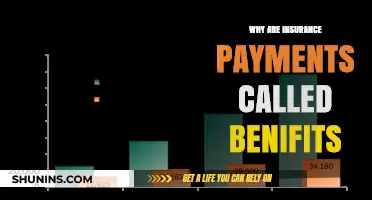 Insurance Payments: The Benefits of Being Covered