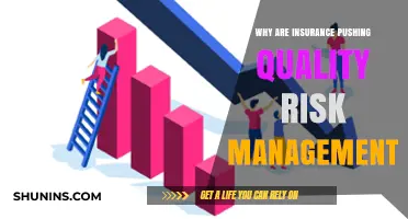 Quality Risk Management: Insurers' Priority for Customer Safety