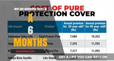 Insurance Rates: A Six-Month Review