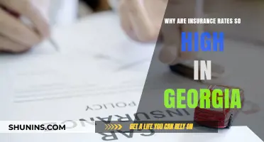 Insurance Rates in Georgia: Why So Expensive?