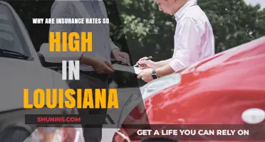 Louisiana's Insurance Rates: The Costly Truth