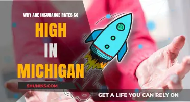 Michigan's Auto Insurance Rates: What's the Deal?