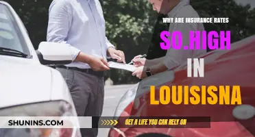 Louisiana's Insurance Rates: Why So Expensive?