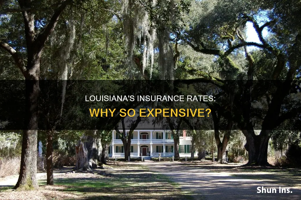 why are insurance rates so.high in louisisna