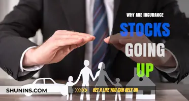 Insurance Stocks: What's Behind the Rise?
